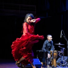 Ana Crisman, Arpa Flamenca - Th&eacute;&acirc;tre du Ch&ecirc;ne Noir, Avignon